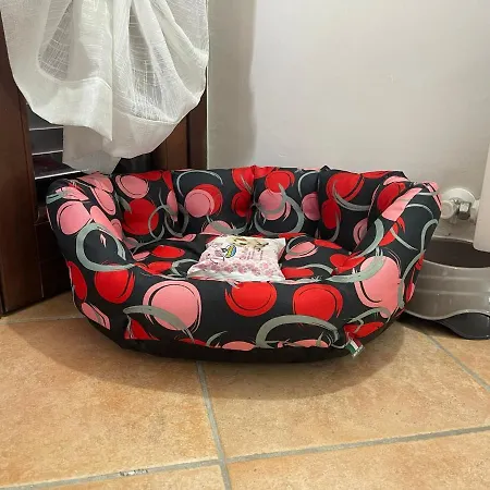 A Casa Di Miele Apartment *