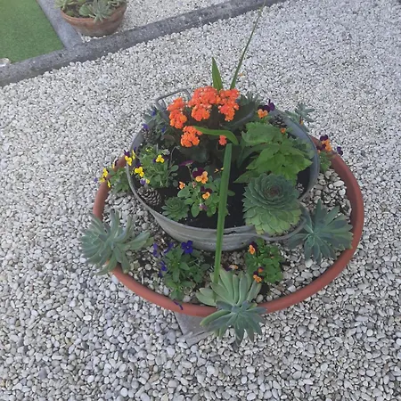 A Casa Di Miele Apartment *